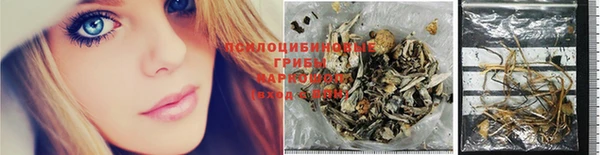 бошки Абаза